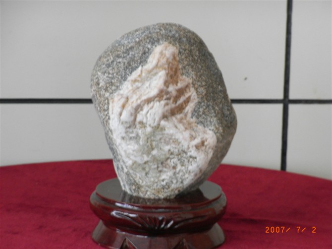 c鿴Ԕ(x)Ϣ(bio)} xΔ(sh)4355